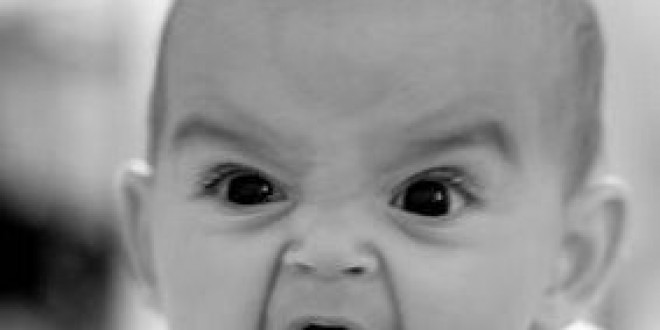 ক্রোধ থেকে বেঁচে থাকা