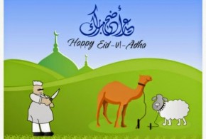 কুরবানী সম্পর্কে কিছু প্রয়োজনীয় মাস’য়ালা। (২য় পর্ব)